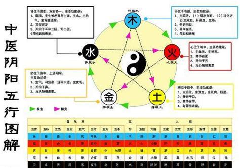 金生木 木生水|五行生克关系图 五行相生相克详解